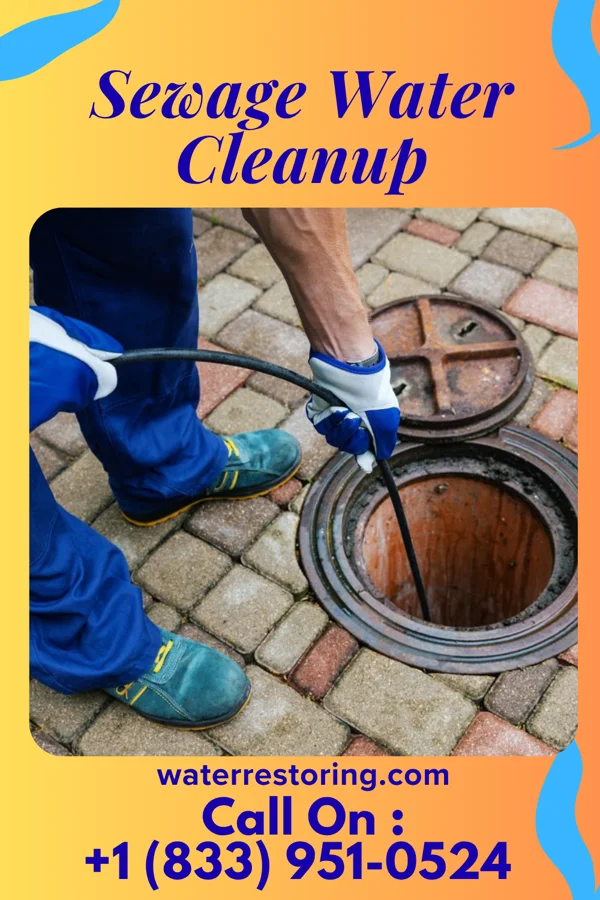 Sewage Water Cleanup in Purdy, MO