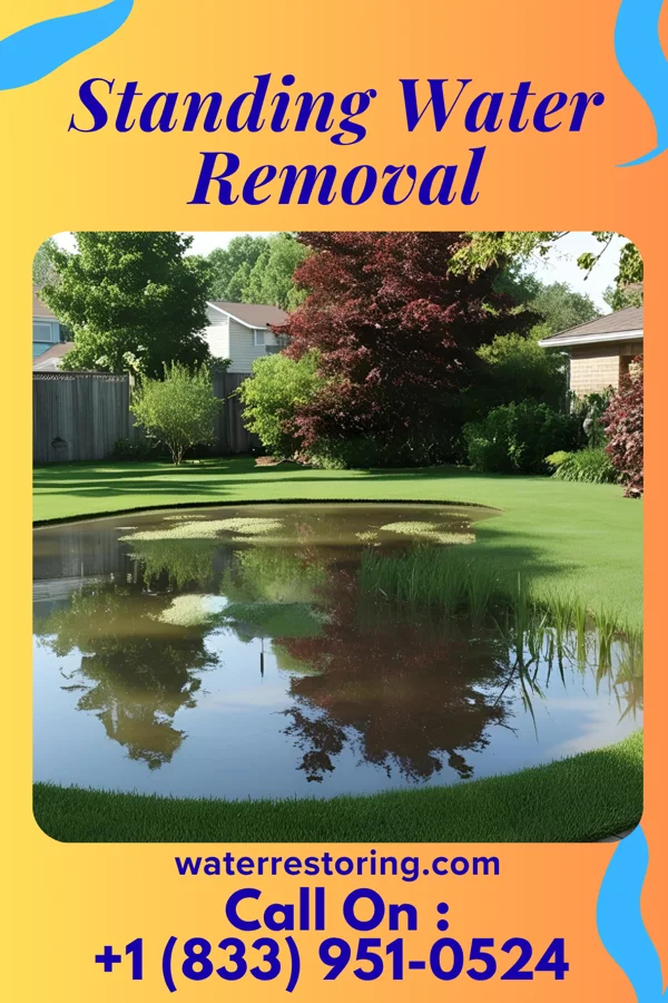 Standing Water Removal in Purdy, MO
